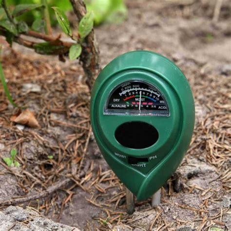 Moisture Meter Plants The Ultimate Guide To Measuring And Maintaining