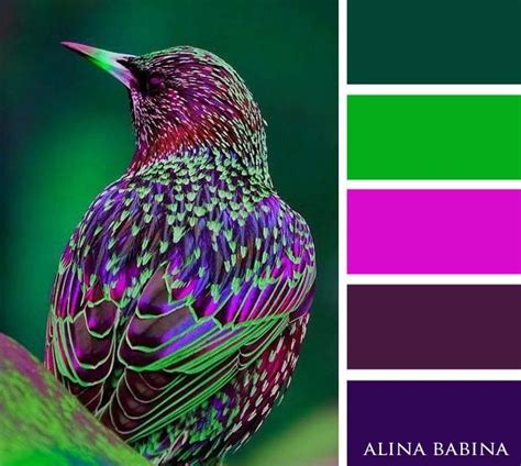 13 purple and green color scheme ideas