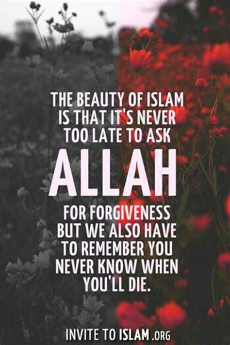 Allah Quotes About Forgiveness Islamic Quotes Islamic Quotes Quran