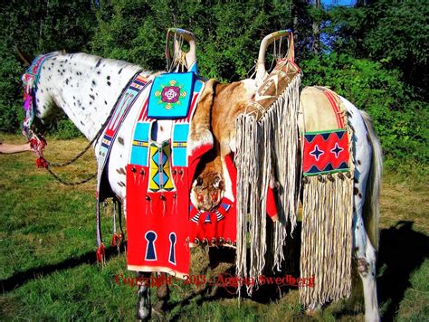 Amazing Native American Nez Perce Horse Regalia By Quillwork Artist 10