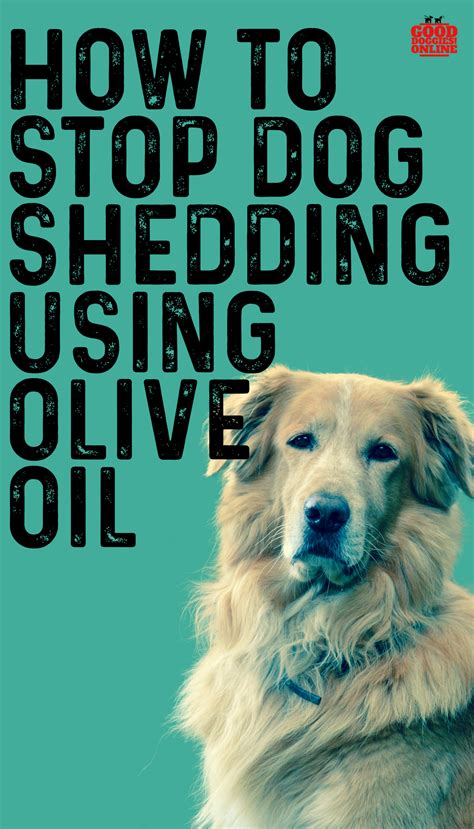 When you need to know more about dog nutrition, health, behavior or training, turn to purina's experts. How to Stop a Dog From Shedding Using Olive Oil | Dog ...