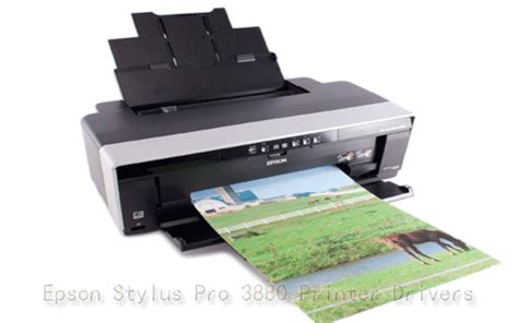 Epson stylus pro 3885 now has a special edition for these windows versions: Epson Stylus Pro 3880 Printer Drivers For Windows XP, 7,8 ...