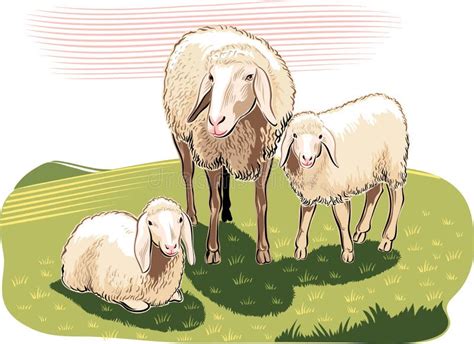 Lambs Stock Illustrations 2304 Lambs Stock Illustrations Vectors
