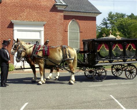 What Is Horse Drawn Carriage Called