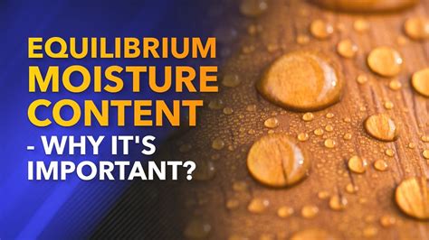 Equilibrium Moisture Content Why Its Important Emc Youtube