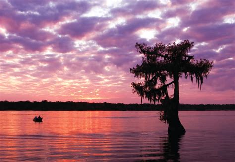 A Travelers Guide To The Galaxy Louisiana Is A Trip Take One Today