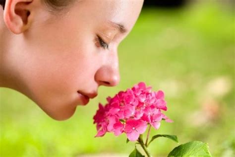 Human Sense Of Smell Is More Acute Than Most People Think Science