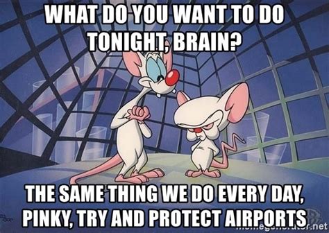 WHat Do You Want To Do Tonight Brain The Same Thing We Do Every Day