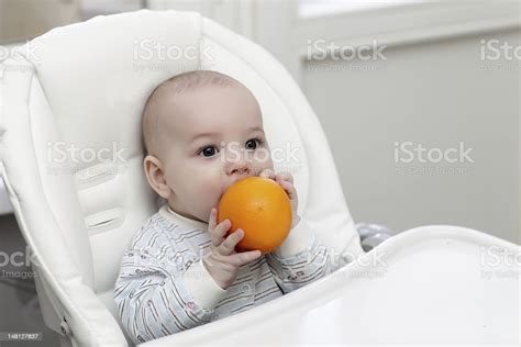 Baby Biting Orange Stock Photo Download Image Now 6 11 Months