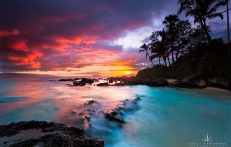 Wallpaper Sunset Palm Trees Hawaii Photographer Kenji Yamamura