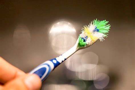 Evolution Of The Toothbrush Genesee Dental Pc