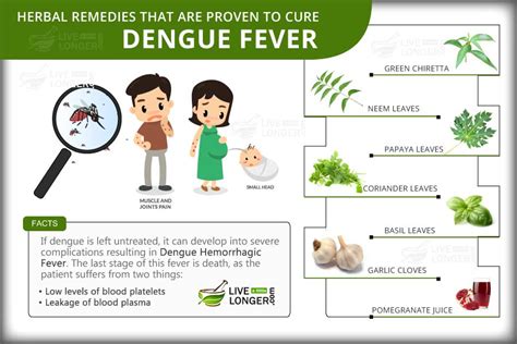 9 great home remedies for dengue fever treatment lll care