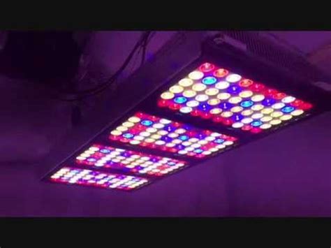 Designed to fit into any standard light socket. Black Diamond Perfect Sun 1000 LED Grow Light 4x7 Panda ...