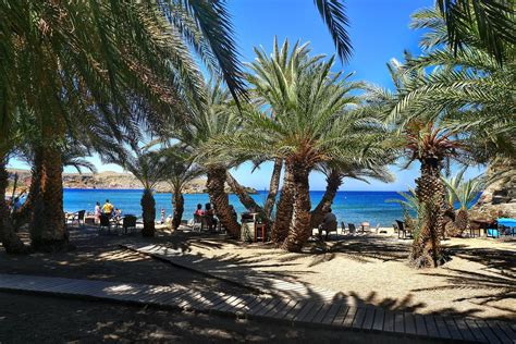 Vai palm beach or finikodasos is one of the biggest tourist attractions in crete as it is the largest natural palm forest in europe with 6000 palm trees. Vai Palm Beach (Finikodasos) in Lassithi | AllinCrete ...