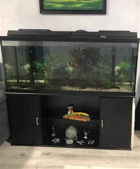 120 Gallons Fish Tank Get All You Need