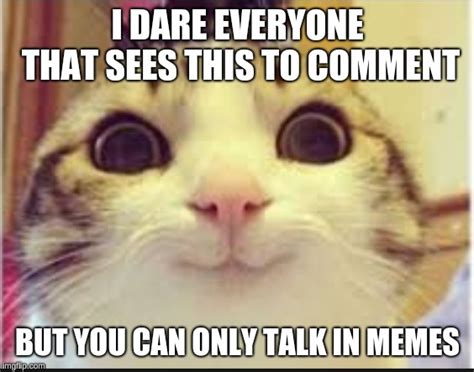Image Tagged In Memecatscommentmemes Imgflip