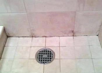 It is thin and somewhat slick. How To Completely Get Rid Of Pink Mold On Bathroom Ceiling ...