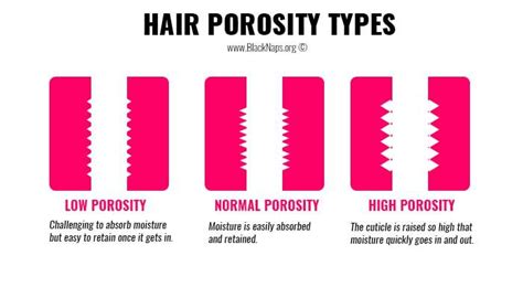 Hair porosity is a key part of understanding your hair type, yet many don't know about it. What is Your Hair Porosity Type? Find Out Now!