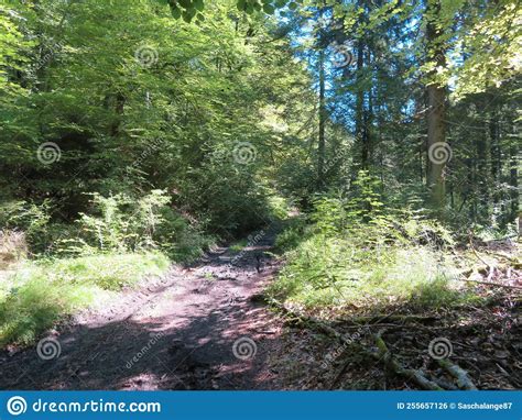 Natur Path Near The Town Of Emmerting In Bavaria Stock Photo Image Of