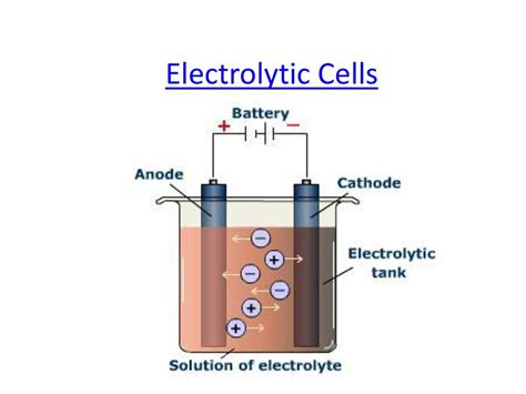 Electrolytes Electolytic Cell And Electrochemical Cell Science Vision