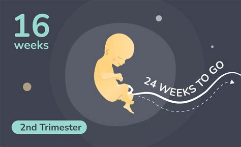 16 Weeks Pregnant Garbh Sanskar Symptoms And Tips