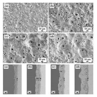 Surface And Cross Sectional Morphologies Of The PEO Coatings After 750