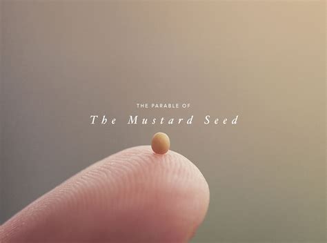 The Parable Of The Mustard Seed Experiencing God First15 Daily