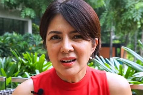 Alice Dixson Finally Reveals Truth Behind Taong Ahas In Robinsons