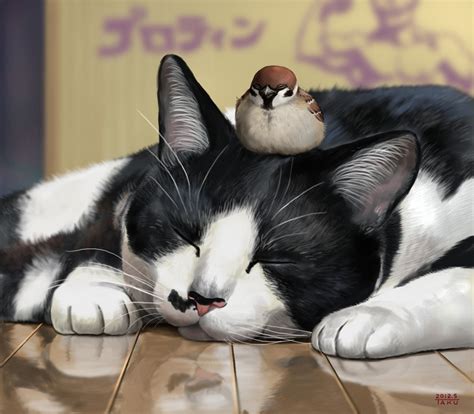 Animal Cute Cat Bird Sparrow Wallpaper 1440x1260 639851 Wallpaperup