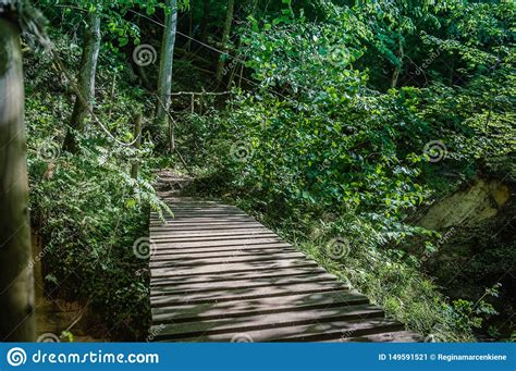A Wooden Bridge Over The River In A Beautiful Green Forest Scenery