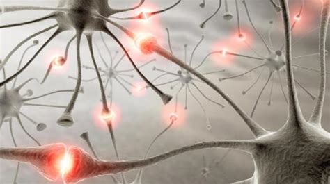Its signs and symptoms are similar to those of other neurological disorders and may vary from person to person. Guillain-Barre-Syndrom: Ursachen, Anzeichen, Behandlung ...