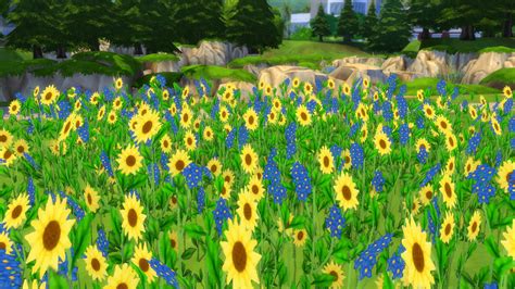 Mod The Sims Early Spring Fields Of Wildflowers Wild Flowers