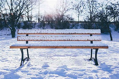 Winter Care For An Outdoor Bench Garden Benches Blog