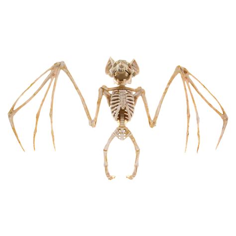 Bostey Halloween Animal Skeleton Decration Horrible Bat Skeleton