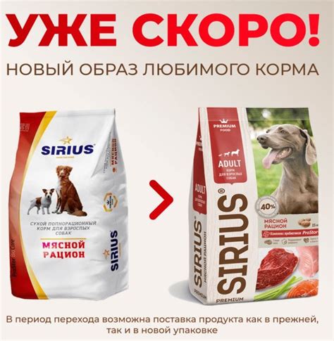 Купить сухой корм для собак в интернет зоомагазине Zoo61 ЗооСити