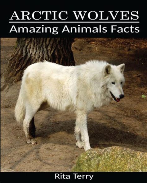 Arctic Wolves Amazing Photos And Fun Facts Book About Arctic Wolves By