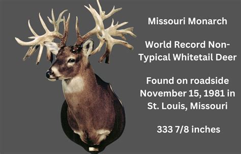 Missouri Monarch Buck Non Typical World Record Whitetail Buck