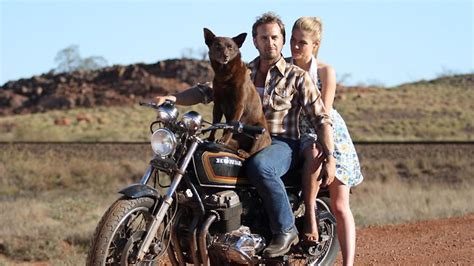 Fandango movieclips film festivals & indie trailers is the destination for.well, all things related to film festivals & indie films. Death of Red Dog star Koko inspires donations to Dogs ...