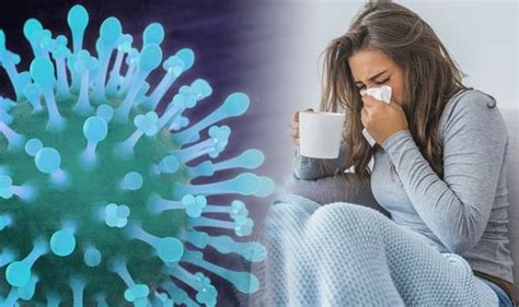 Flu Like Illness Could Kill 80 Million People In Less Than Two Days