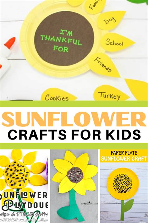 Printable Preschool Life Cycle Of A Sunflower For Preschool
