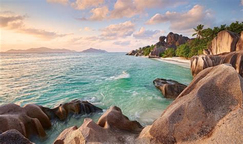Seychelles Rock Palm Trees Beach Sunset Sea Tropical Summer Nature Landscape Wallpapers