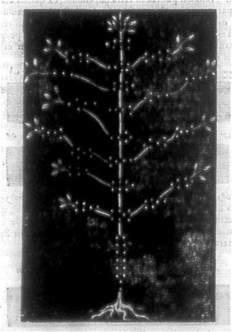 Athanasius Kirchers Sephirotic Tree Of Geomantic Figures