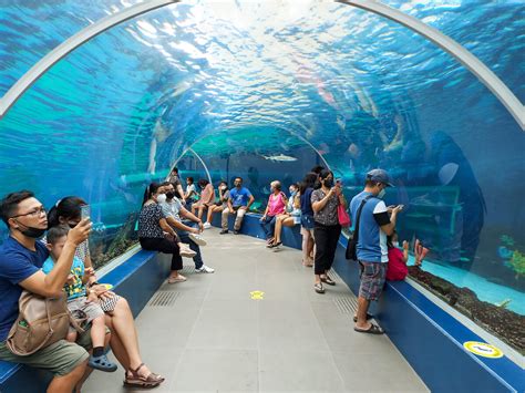 Cebu Ocean Park Guide Our Experience Where To Buy Tickets And Tips