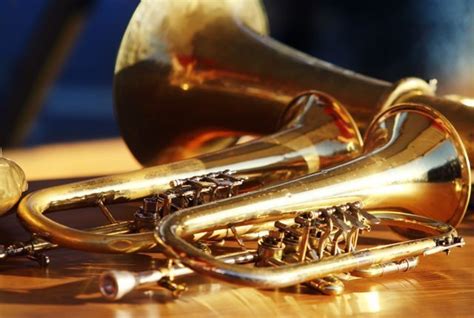 Cubase #splice #musicproduction how to produce music with loops and samples in cubase 10.5 ▻▻ get a free. BRASS Sound Samples Drum Loops Elements Beats FLStudio ...
