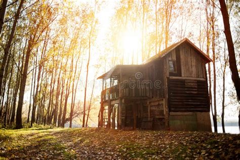 Cabin In The Woods Sunset In The Forest Stock Photo Image Of