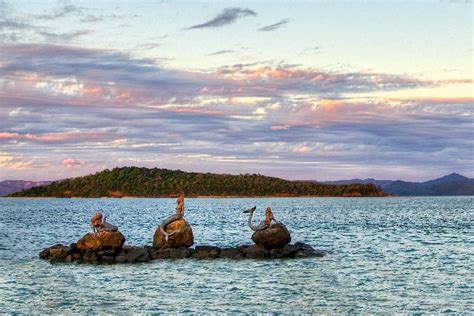 Mermaids On Australias Daydream Island Mermaids Of Earth