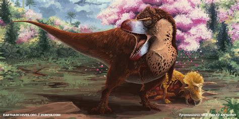 Tyrannosaurus Rex Feathers Fossil