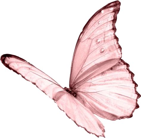 Pin by victoria sison on iphone wallpapers | butterfly … from i.pinimg.com butterfly, pink butterfly. moodboard aesthetic pastel pink butterfly niche png fre...