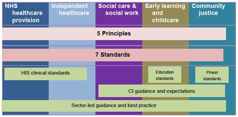 2 Overview Of New Standards New National Health And Social Care