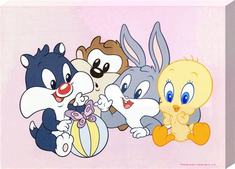 Baby Looney Tunes Wallpaper Wallpapersafari